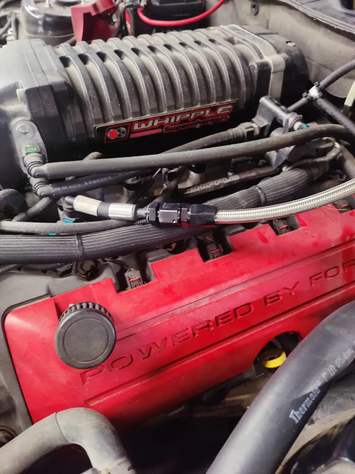 Whipple-supercharged Ford engine