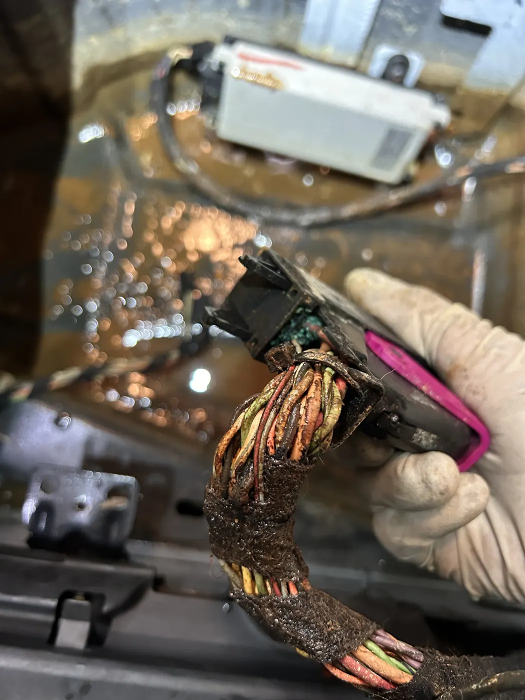 Technician unplugging a corroded wiring harness connector