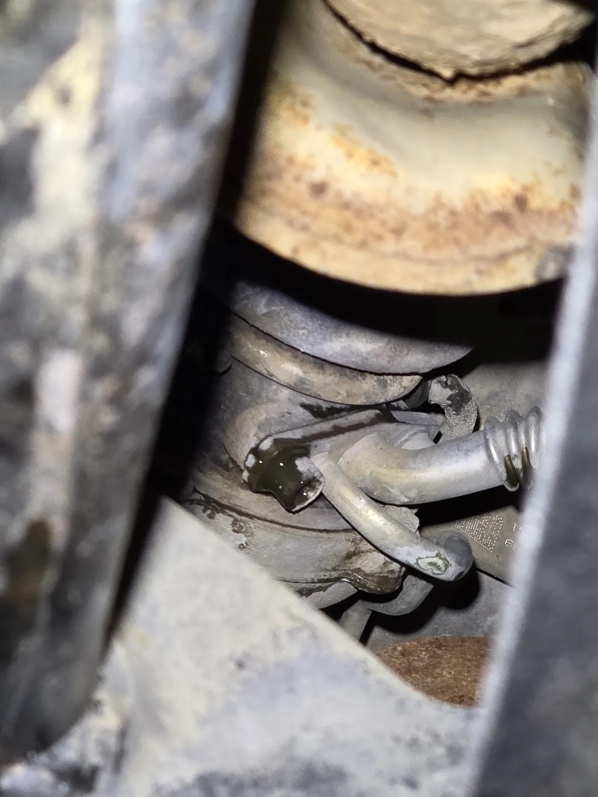 Exhaust manifold and heat shield seen from under a car