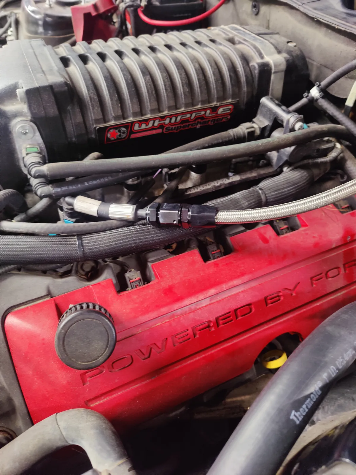 Supercharger and fuel pressure regulator on a performance V8