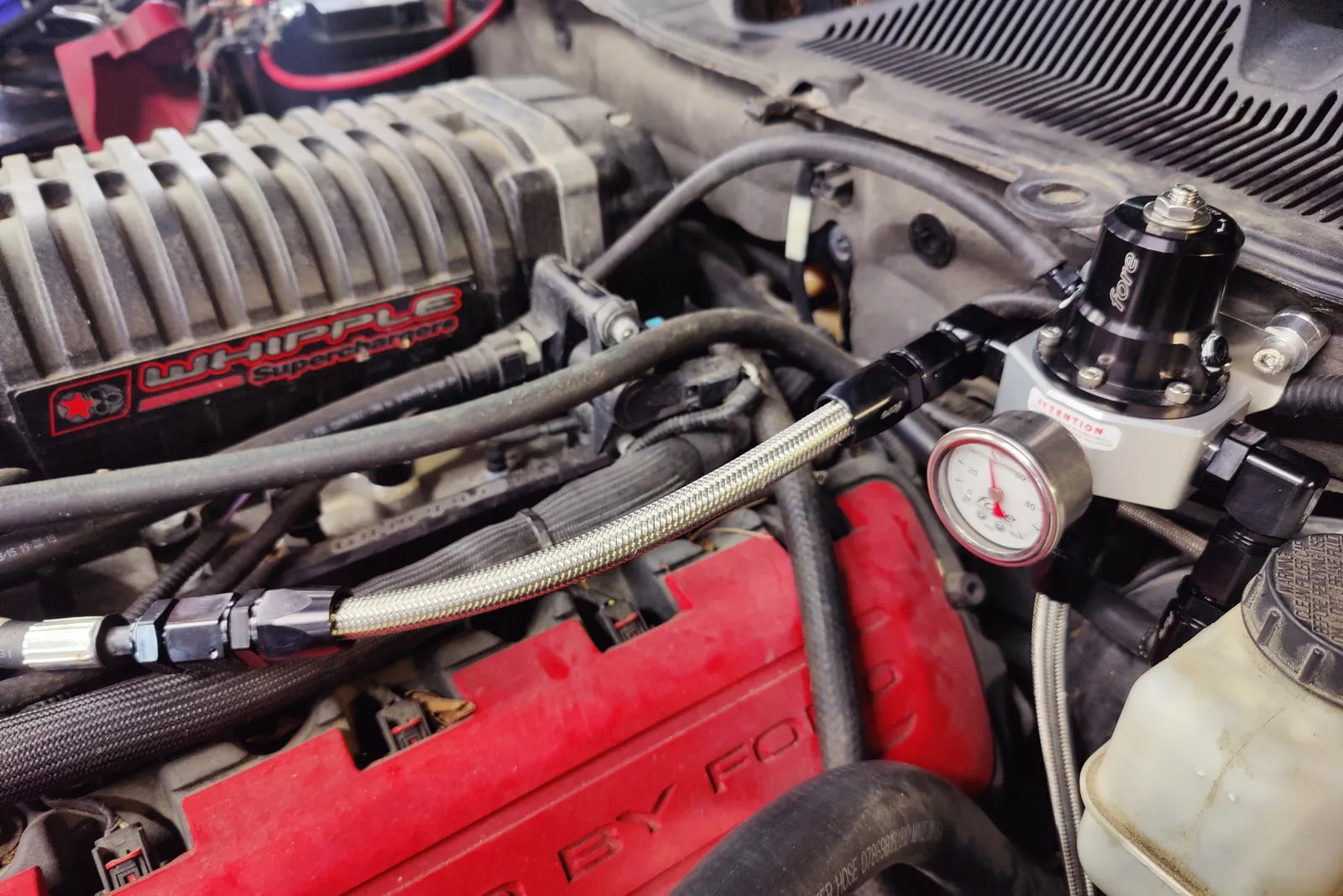 Whipple supercharger with braided fuel lines on a Ford V8 in the Figure Automotive shop